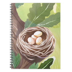 Bird’s Nest   Watercolor Eggs Nature Painting Notebook