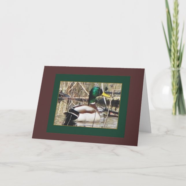 bird series#2 card (Front)