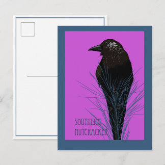 Bird -- Southern Nutcracker Postcard