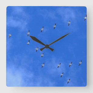 Bird  square wall clock