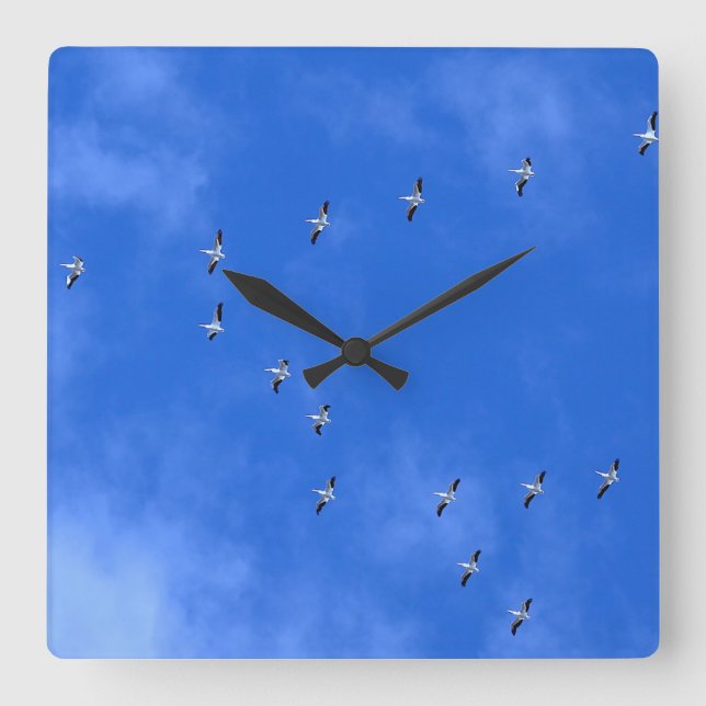 Bird  square wall clock (Front)
