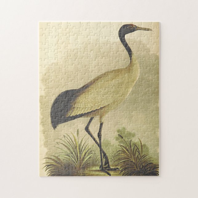 Bird Standing on the Ground Puzzle (Vertical)