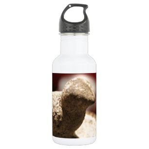 Bird Stone 532 Ml Water Bottle