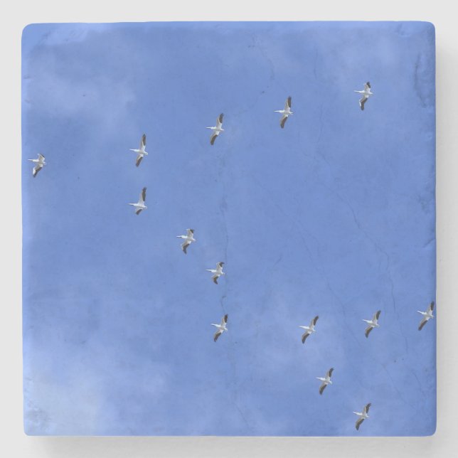 Bird Stone Coaster (Front)