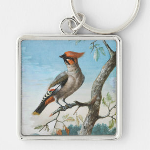 Bird Study by George Edwards (1694-1773) Keychain