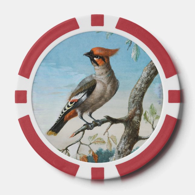  Bird Study by George Edwards (1694-1773) Poker Chips (Front)