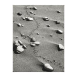 Bird Tracks & Rocks B&W Wrapped Canvas Gallery Wrap Canvas