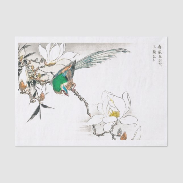 Bird Tropical Vintage Art Tissue Paper (Front)