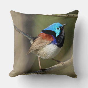 Bird - Variegated Fairywren Throw Pillow