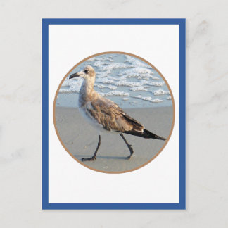 Bird Walks By Sea Circle Card