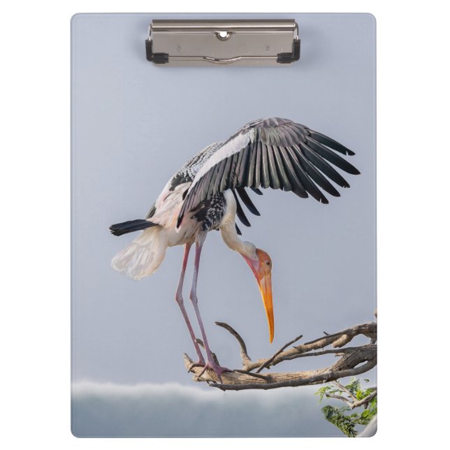 Bird Wallpaper Clipboard – Nature-Inspired Design (Front)