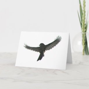 Bird Watcher Card
