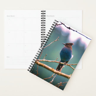 Bird Watchers Planner