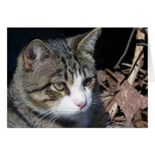 Bird Watching (Front Horizontal)