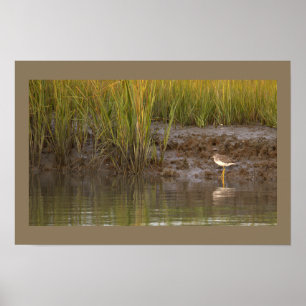 Bird Waterscape Photo Poster