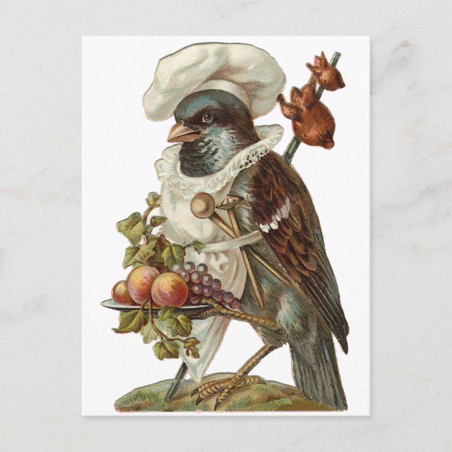 Bird with Food and Chef Hat Postcard (Front)