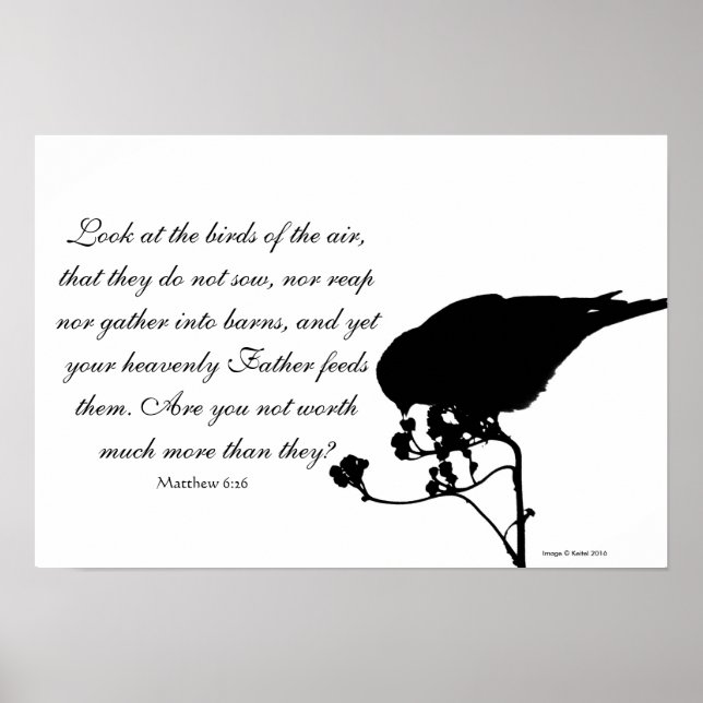 Bird with Matthew 6:26 Bible Verse Poster (Front)