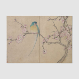 Bird With Plum Blossoms Tissue Paper