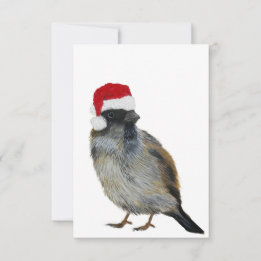 Bird with Santa hat Holiday Flat Card