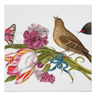 Bird with Tulip Carnations And Butterflies Acrylic Poster