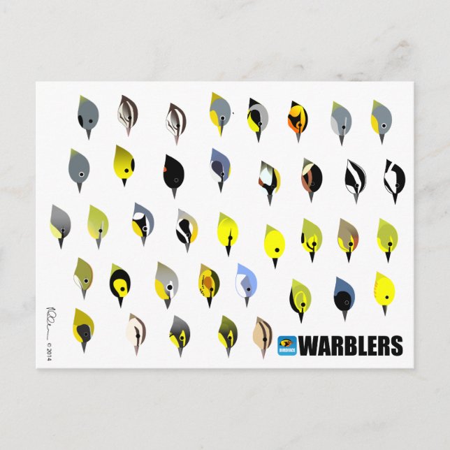 BirdFace Warbler Postcard (Front)