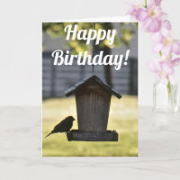 Birdfeeder Silhouette Carte d'anniversaire