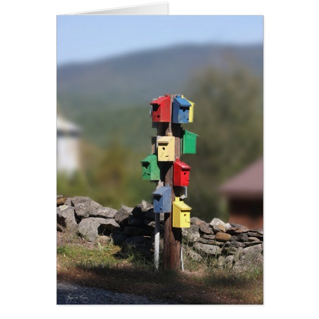 Birdhouse Condo (Front)