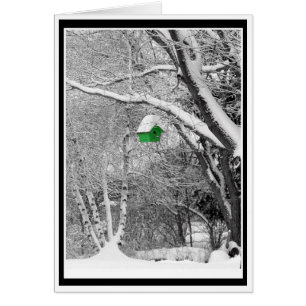 Birdhouse d'hiver