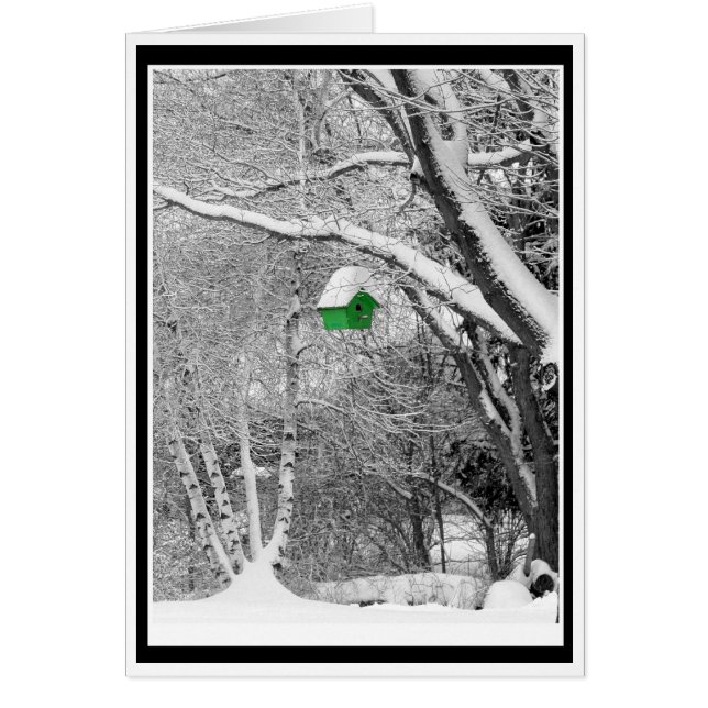 Birdhouse d'hiver (Devant)