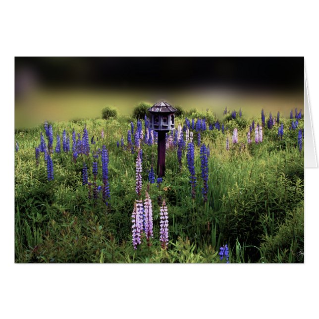 Birdhouse et Lupines (Devant horizontal)