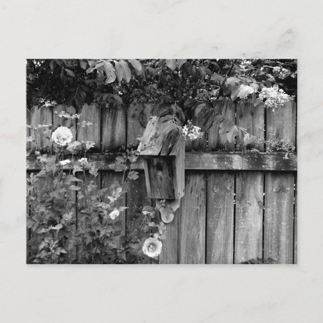 Birdhouse in Summer Postcard (Front)