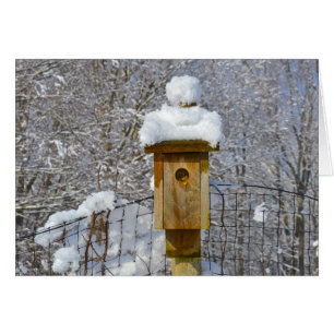 Birdhouse in Winter