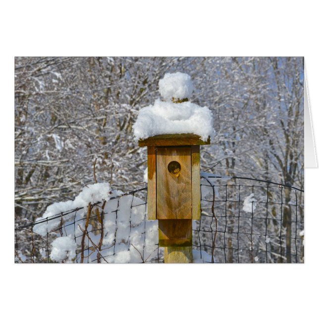 Birdhouse in Winter (Front Horizontal)