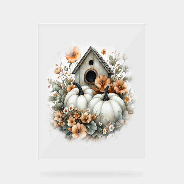 Birdhouse Shirt Country Citrouille (Recto)