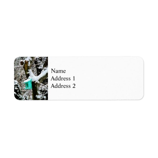 Birdhouse Turquoise en hiver (Devant)