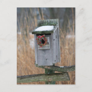 Birdhouse with Holiday Wreath Postcard