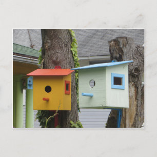 Birdhouses Postcard
