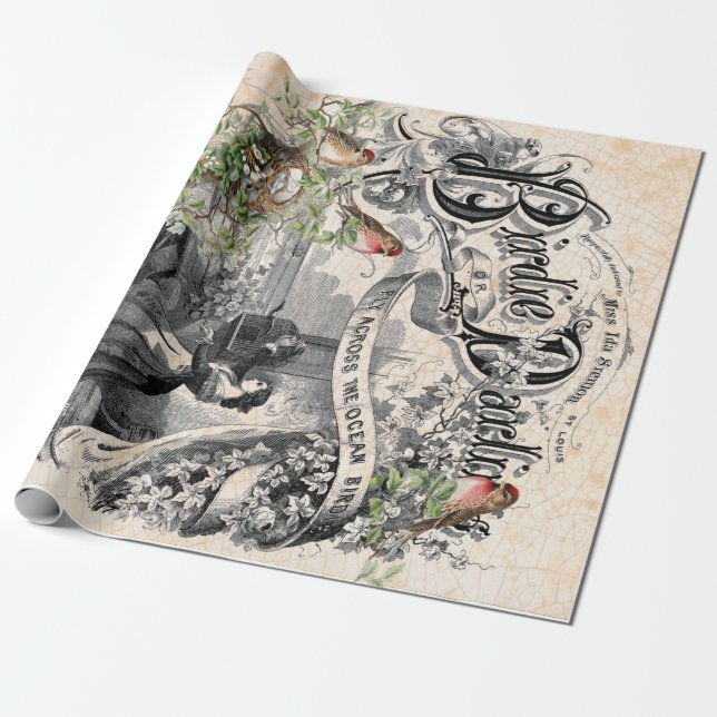 Birdie Darling Decoupage Poster Wrapping Paper (Unrolled)