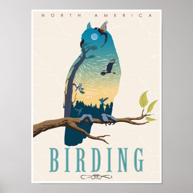Birding in North America Poster (Front)