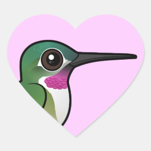 Birdorable Broad-tailed Hummingbird Heart Sticker