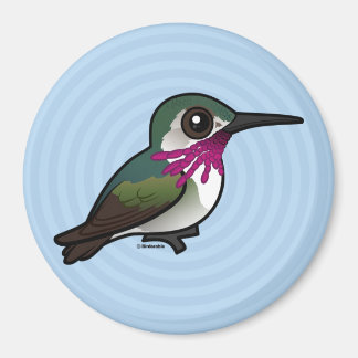 Birdorable Calliope Hummingbird Magnet