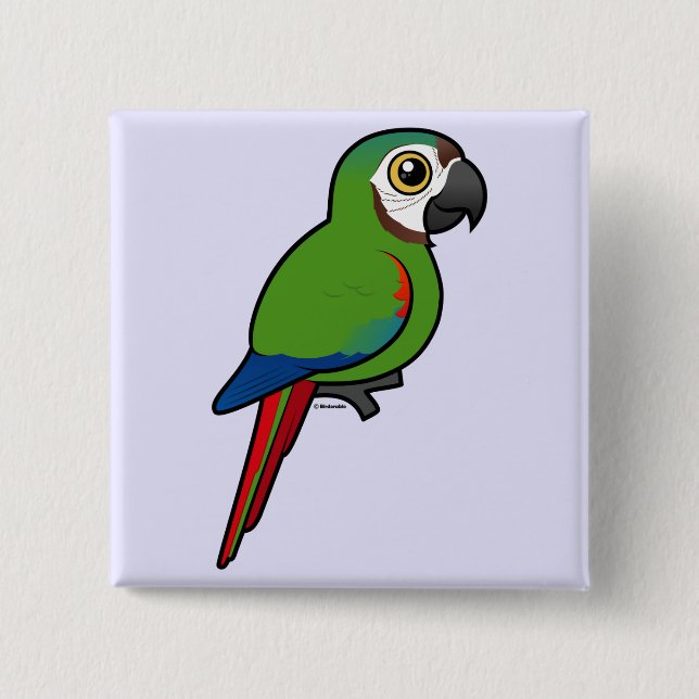Birdorable Chestnut-fronted Macaw 2 Inch Square Button (Front)
