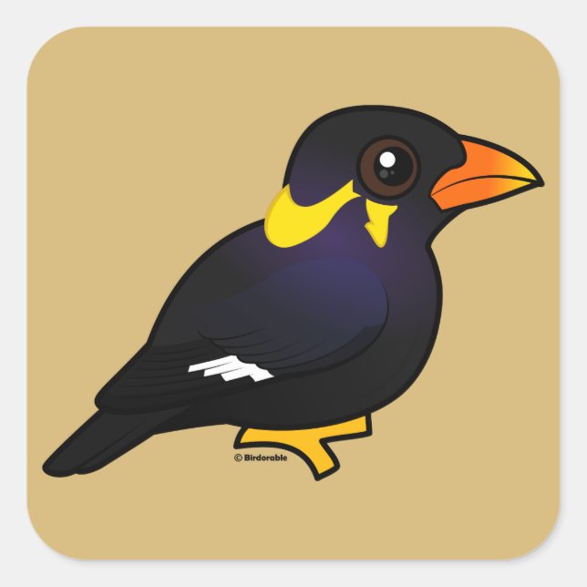 Birdorable Common Hill Myna Square Sticker (Front)