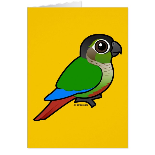 Birdorable Conure Vert-cheeked (Devant)