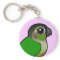 Birdorable Green-cheeked Conure