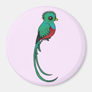 Birdorable Resplendent Quetzal Magnet