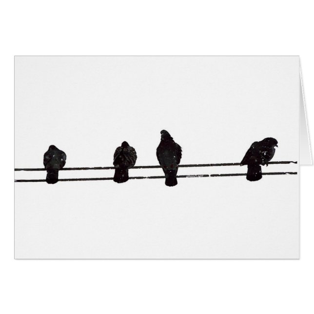 Birds (Front Horizontal)