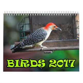 Birds 2017 calendar