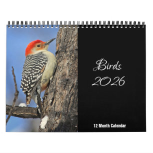 Birds 2026 Calendar