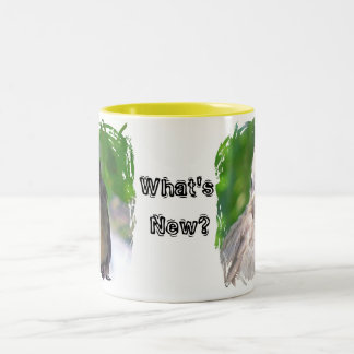 Birds a Twitter Two-Tone Coffee Mug